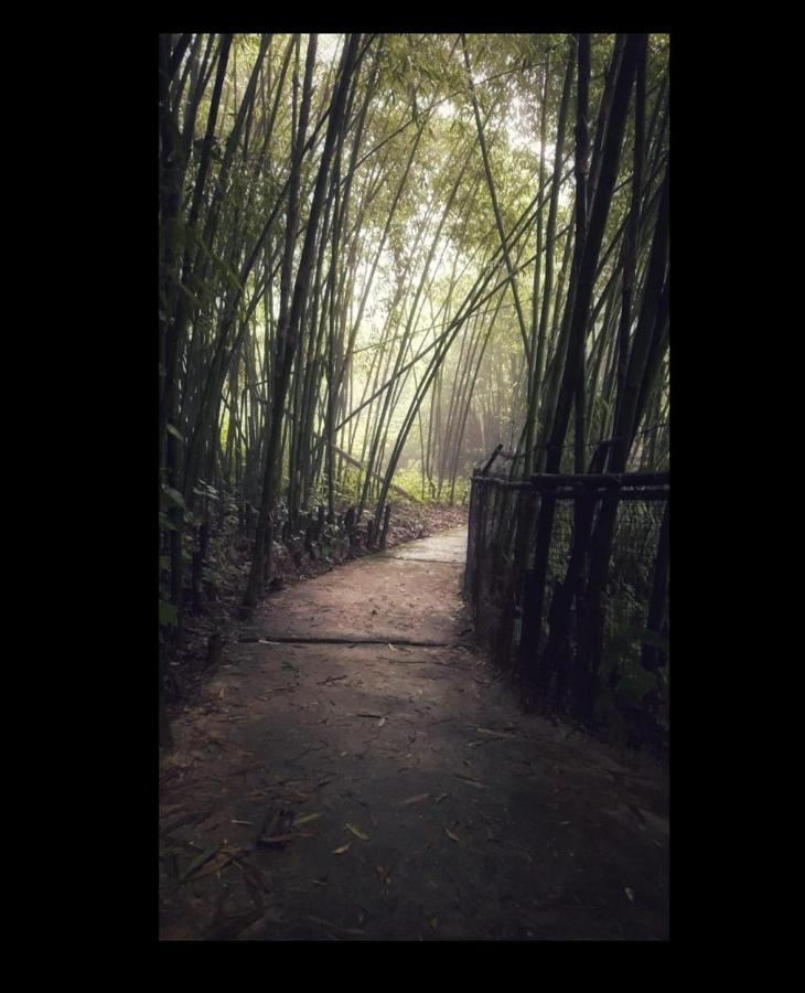 Tenam Garden Homestay Kalimpong Zewnętrze zdjęcie